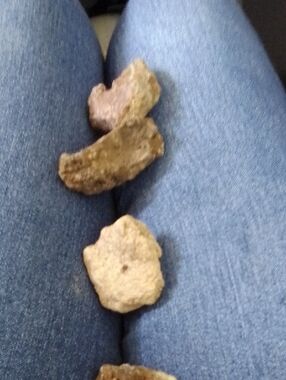 Earth Natural Brown Decorative Reptile Rocks